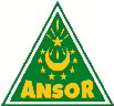 Ansor 1
